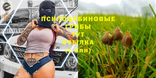 экстази Заволжск