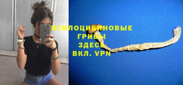 метадон Ельня