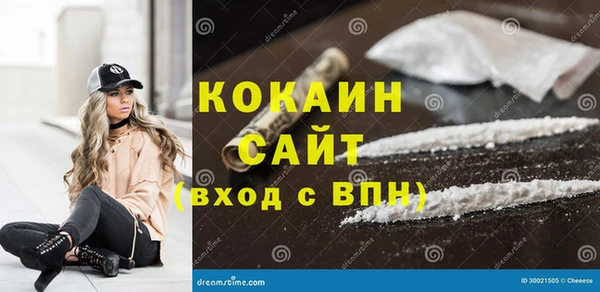 метадон Ельня
