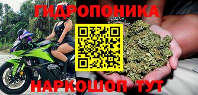 дмт Заводоуковск