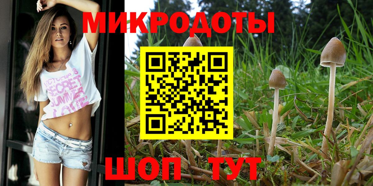 Волжский  Псилоцибиновые грибы мухоморы  Вход с VPN 