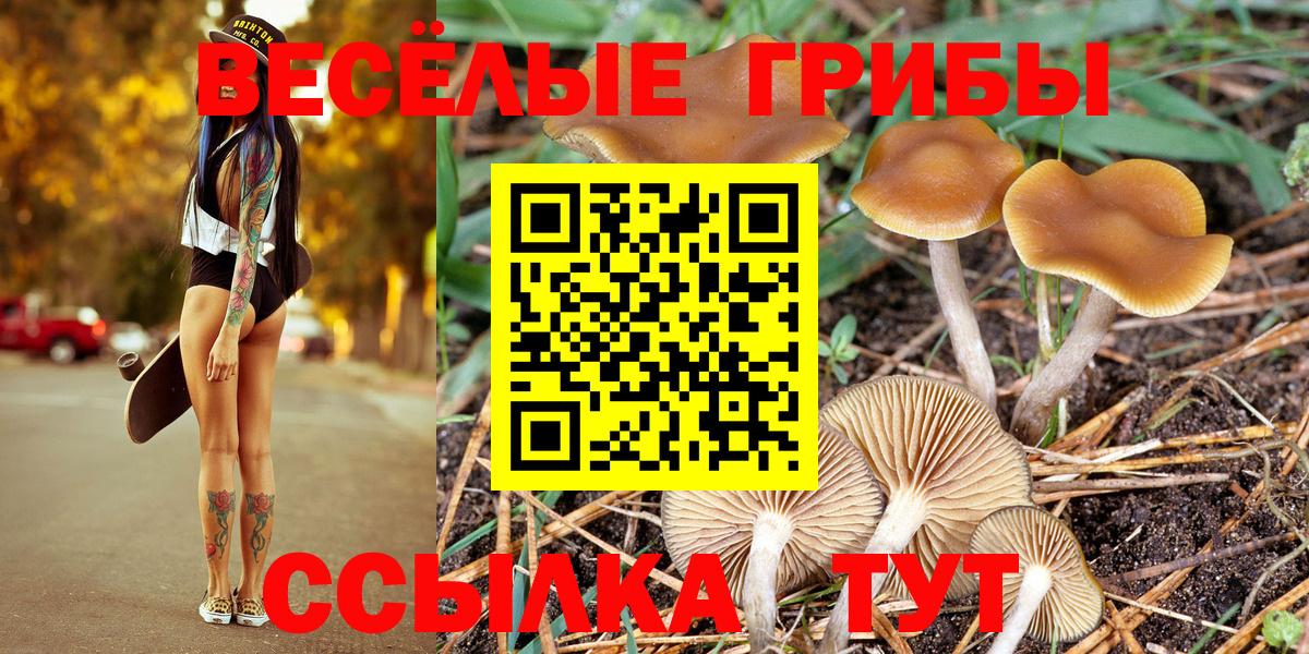Галлюциногенные грибы Magic Shrooms  Волжский 